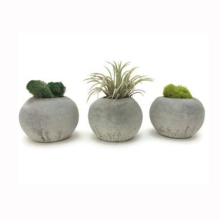 Dekoratif Model Harc